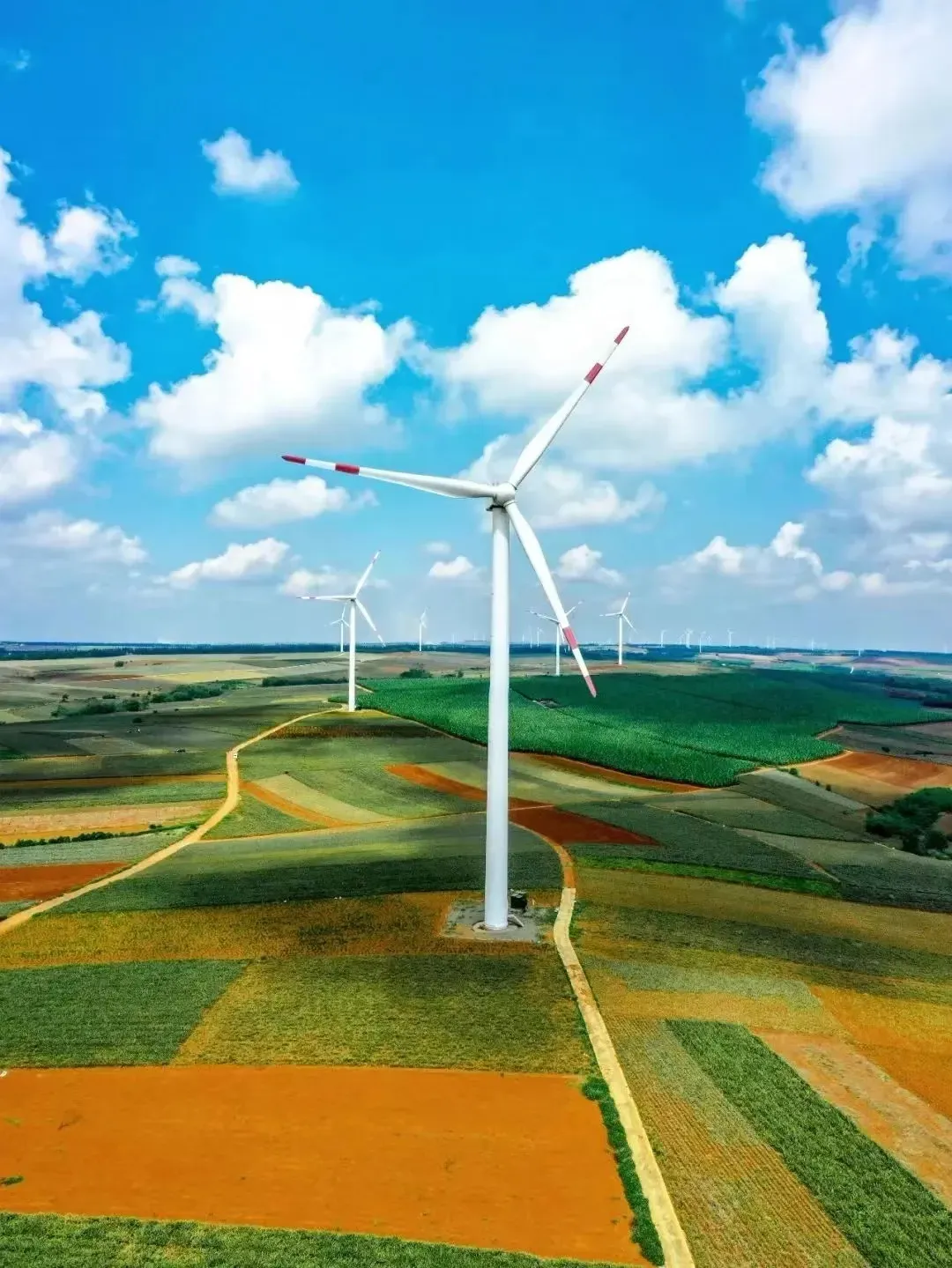 35b7118ee69ad43b5104b37e9d949b4b-sz_1738391-1 35b7118ee69ad43b5104b37e9d949b4b-sz_1738391-1