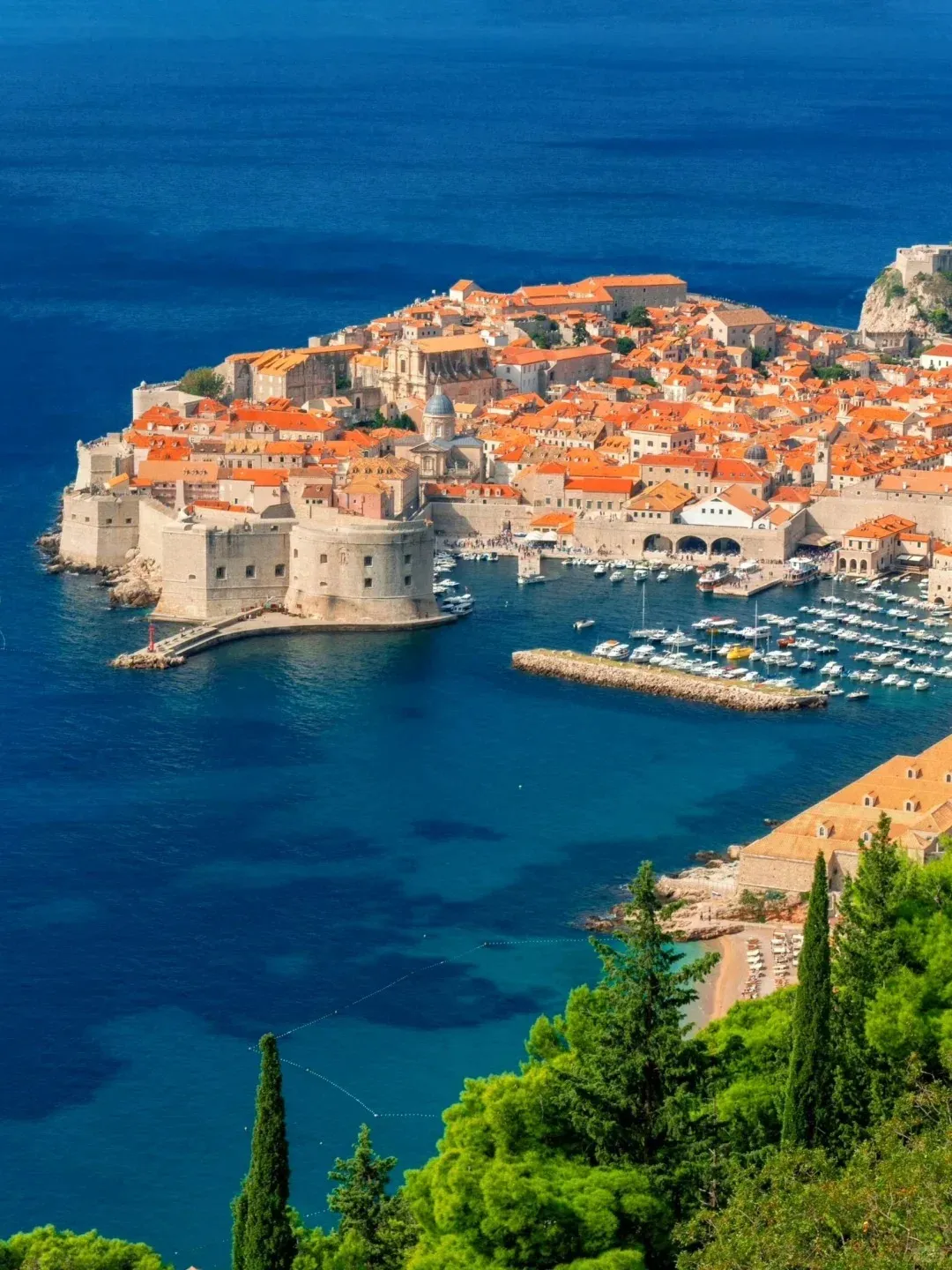 36382f514c92faa3ebecd0b183f8e6dd-sz_430634