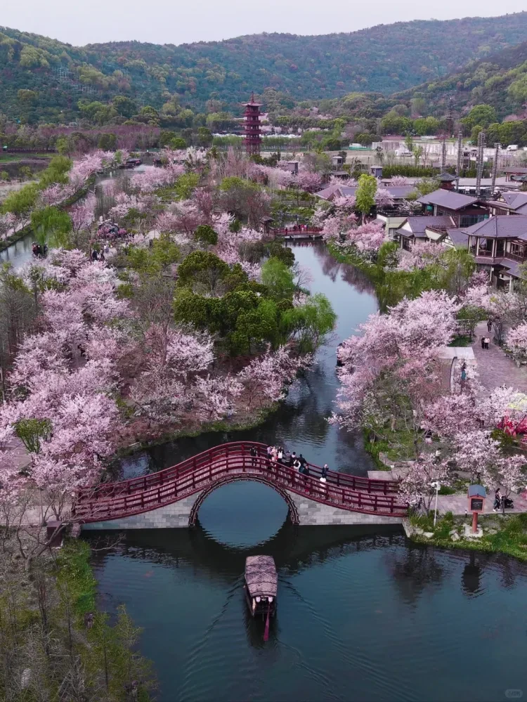 364e2ce2e10794065d150519aaa01251-sz_3569039