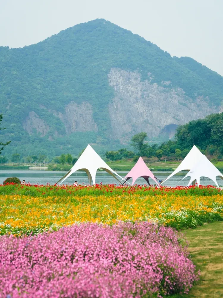 36745f82b474fd89c0e5c2f9eabdccdc-sz_3228174