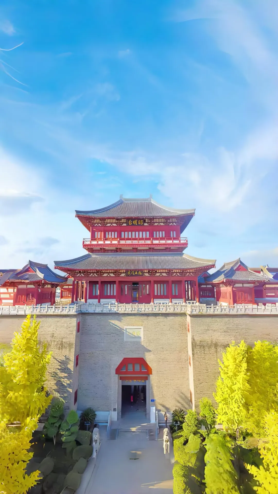 369a2449c9f4cfa7e50b9fa4ee776bb3-sz_738923