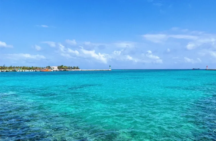 36ada1326e431bab2913f0ab7b0f4eff-sz_533929