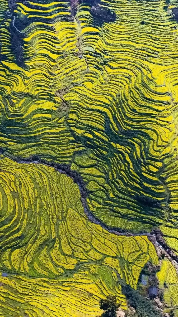 36cff05a080fa4bc1366b319f459c9ca-sz_718536