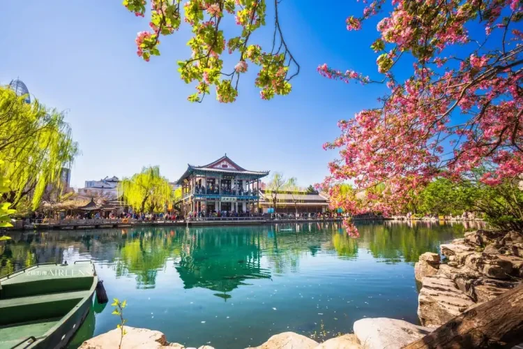 37658cf3baa2ec579579934ed4fbe595-sz_187303-1