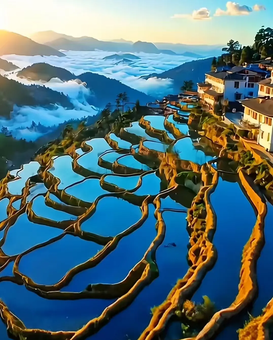 379c65067e90cb3b283f5ec4f300e676-sz_862818