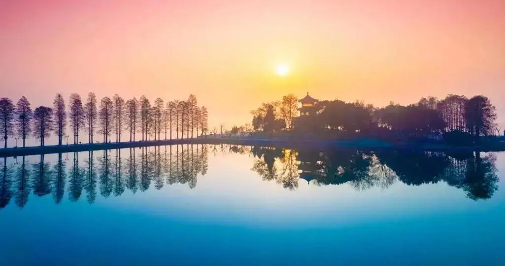 37dc2f0dd6942301fc4c81856c545133-sz_52162