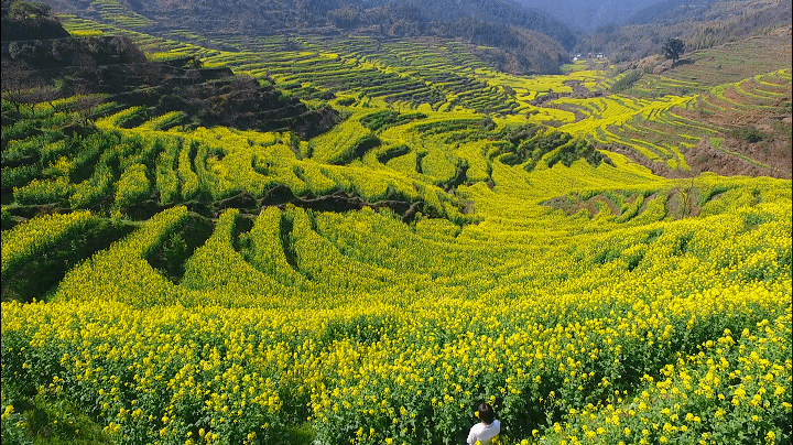 37edaa5f5ba6cd45de09b70badf2d561-sz_8746268