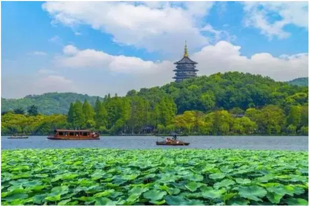 37f80e257c6b4378c52f1a706bad9974-sz_46546