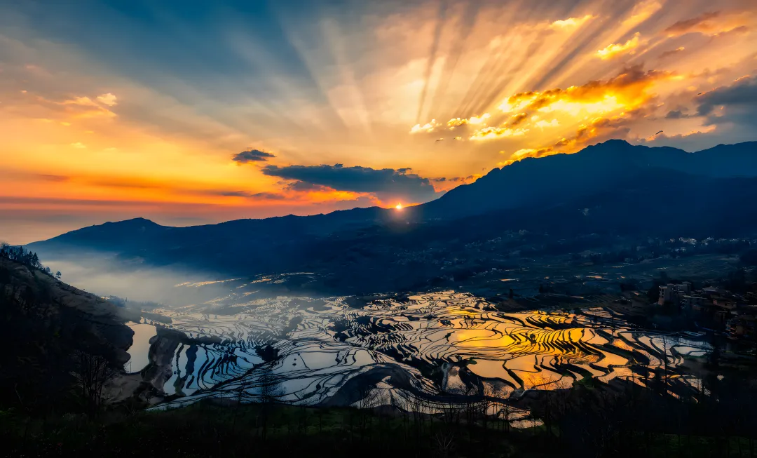 38360ed86b5ccee6a67acd31108fe99a-sz_20892800