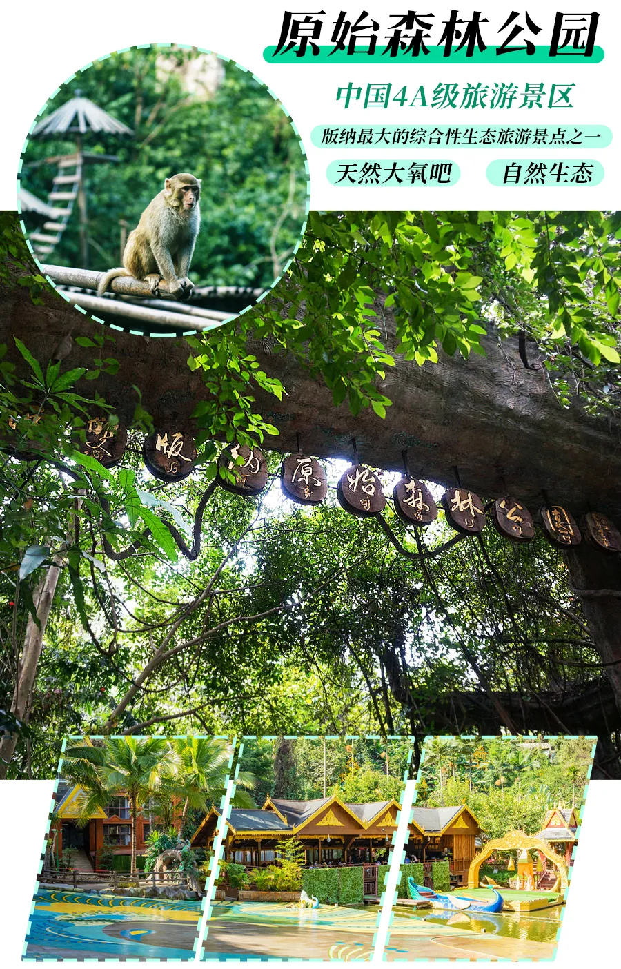 383862f4bbcb10b07826bac2dfe28401-sz_4911111-1