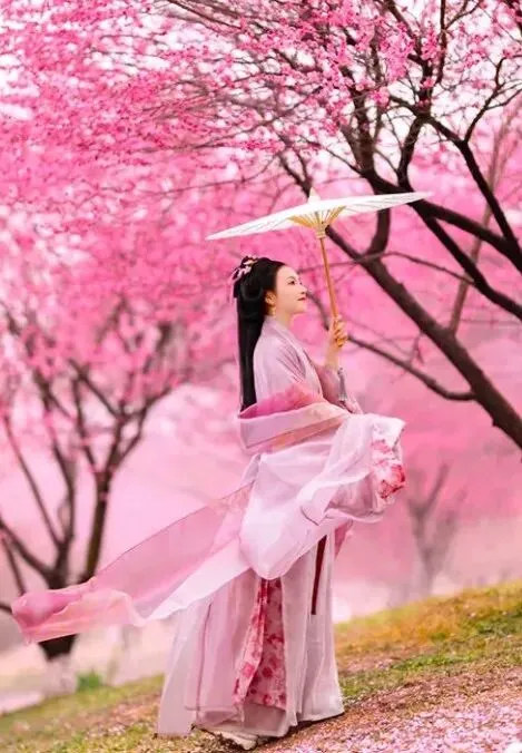 384c658dfc7048f1a4c063e6f1dad297-sz_68800-2