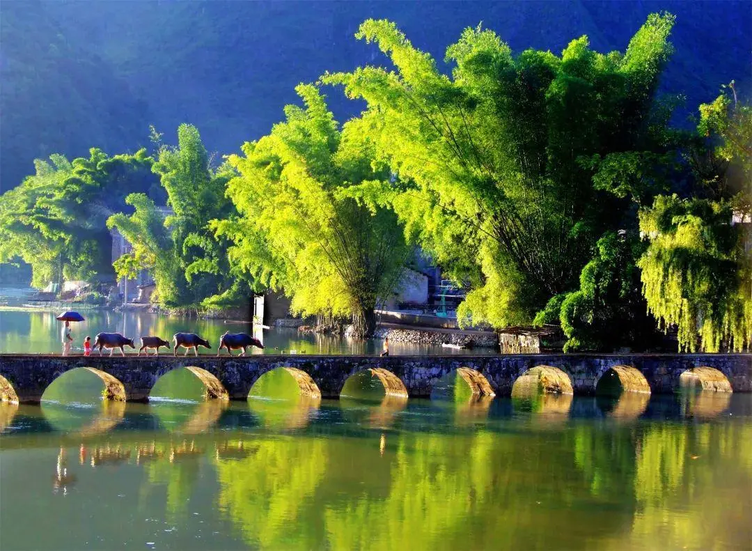 3850d66dd867830d1145f857f323e038-sz_189435-1