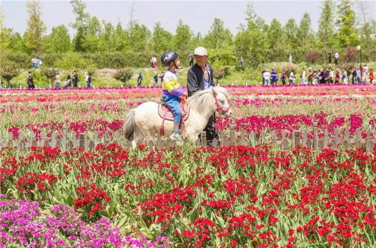 38556add3eb94b6d51137820a1ef9c00-sz_487090