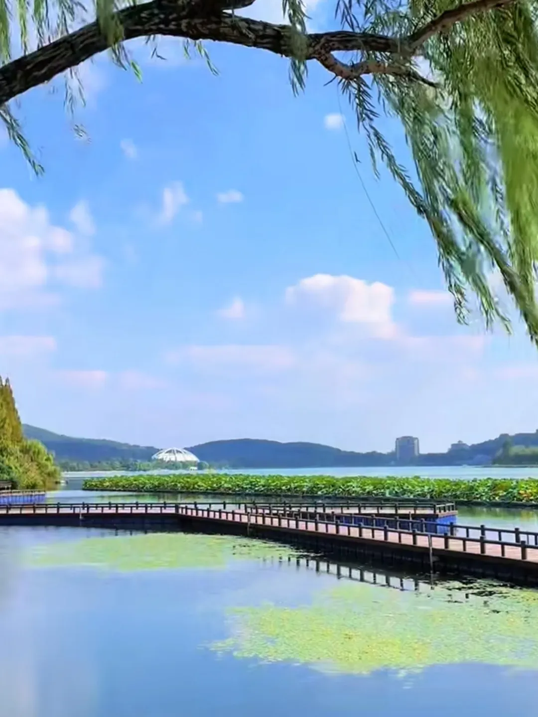 3883547caaef0c153a38bae0e7af5faf-sz_2032890