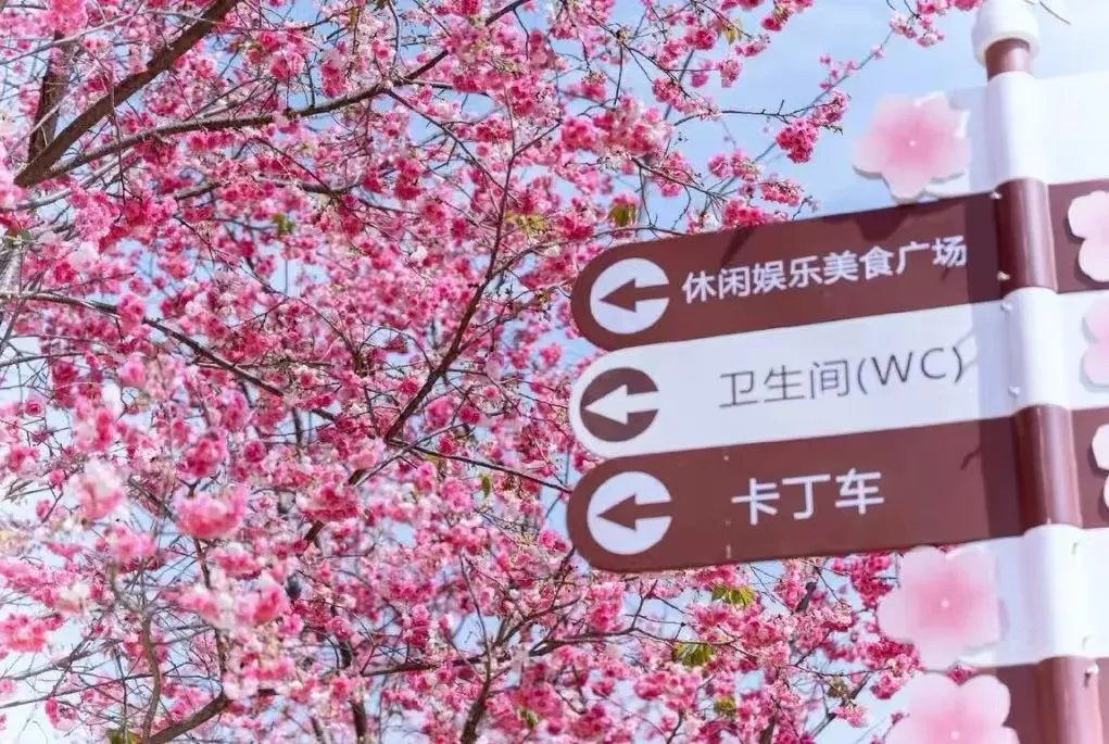 3927bade66da92d196d32bc2a86fa75a-sz_1948583-1