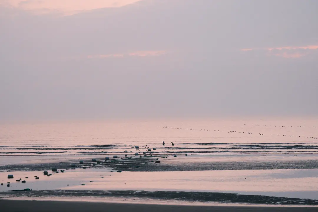 39331c6967ba854a9c58e0e7dbfcf6b4-sz_293652-1