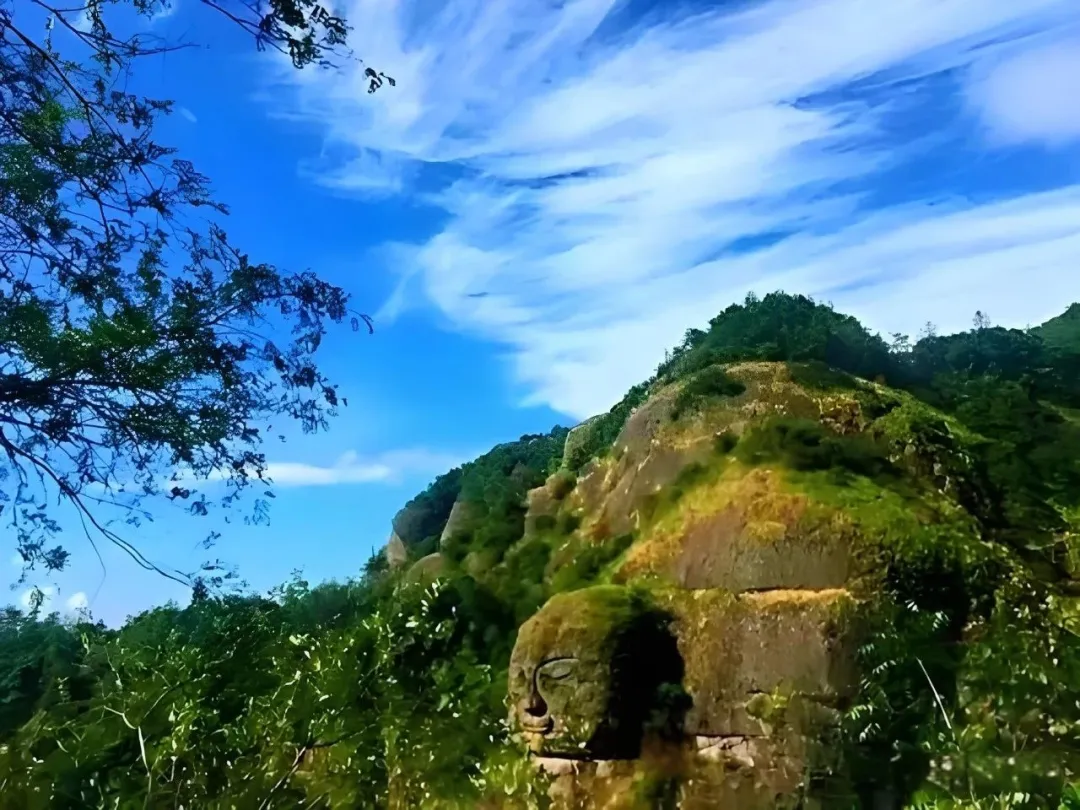 393780d9438bda40ec79908c454cc3a2-sz_223887