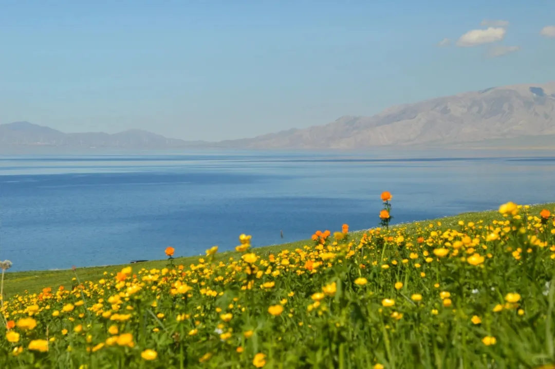 3960936cff8ed41ba0733ad26d9b9581-sz_274801 3960936cff8ed41ba0733ad26d9b9581-sz_274801