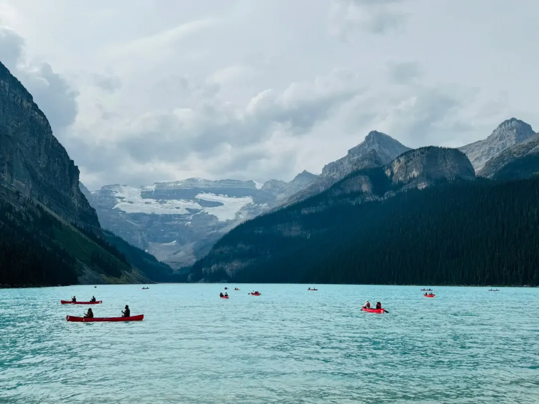 3969db22e2cb38d7fc23b9b84f5a1dd9-sz_358494-1