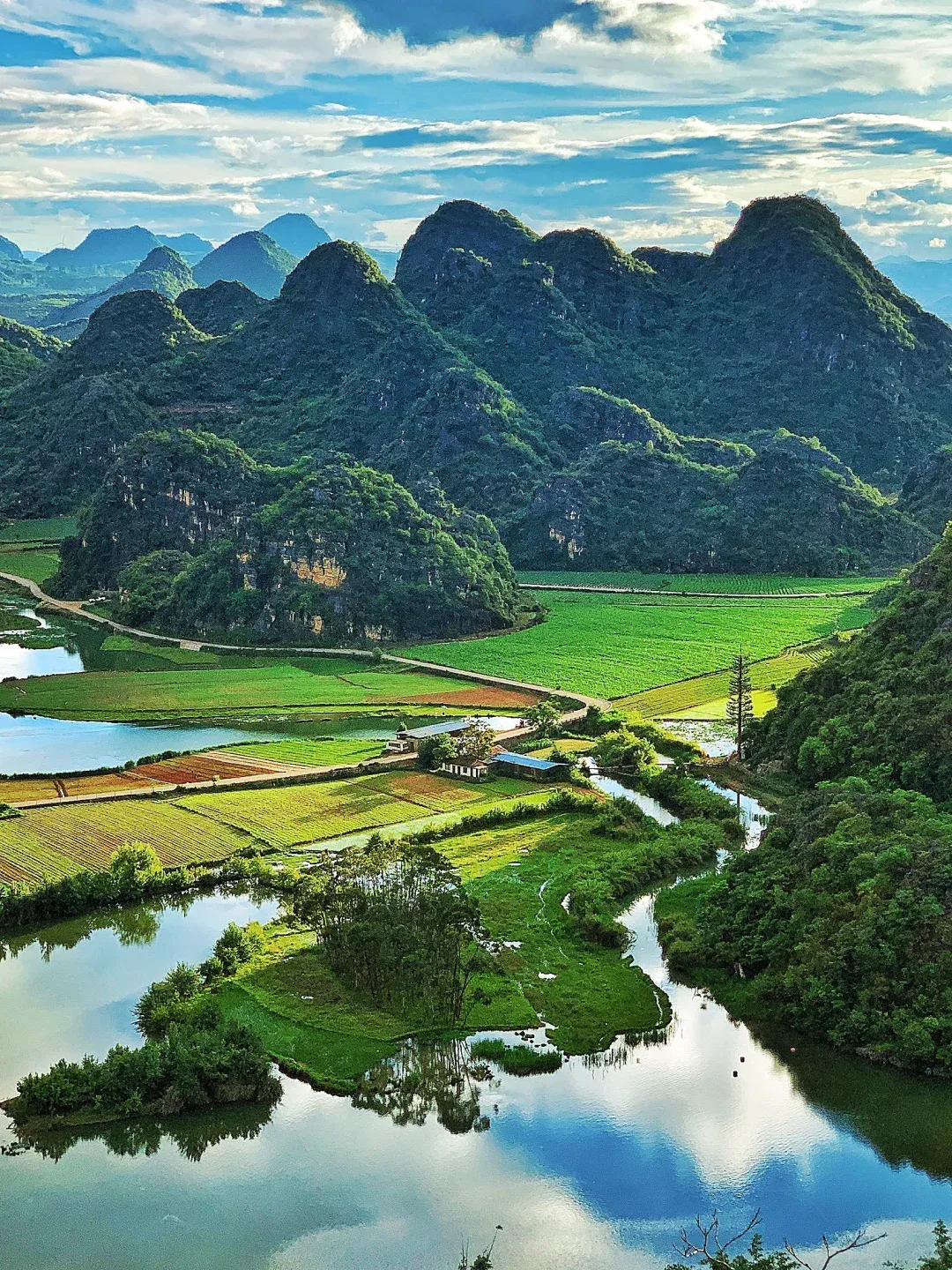 39ea252030d5a3847e4024ff07571b7b-sz_4387673-1