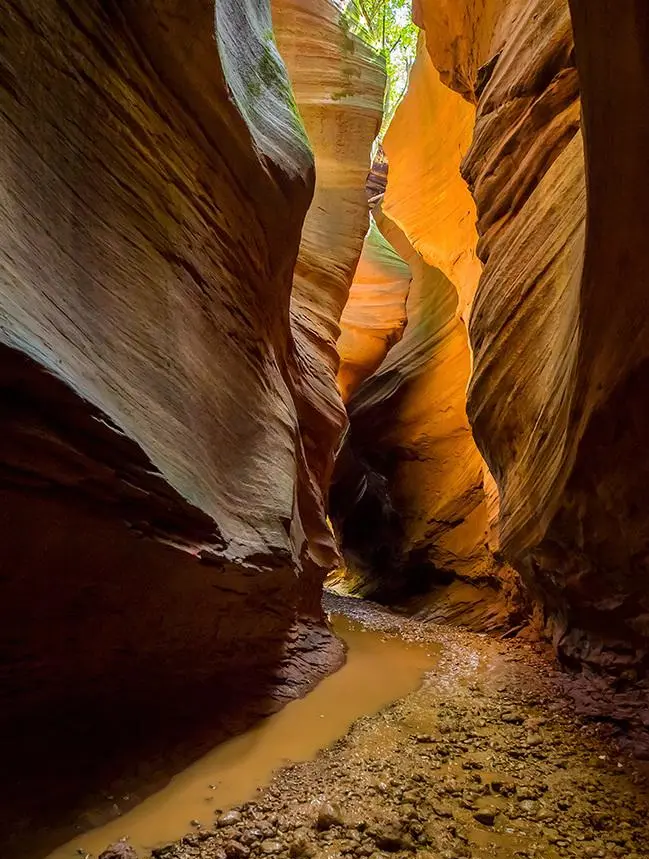 39f0d63a1ca1215faa74dcf40f8a4f2b-sz_144942 39f0d63a1ca1215faa74dcf40f8a4f2b-sz_144942