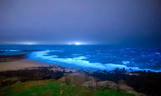 3a1acbce286d993eca95658ffcdf59c7-sz_44186