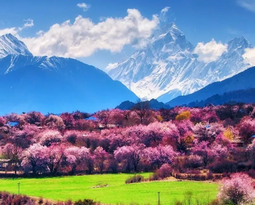 3a35dcb847ba4980b5e90e6dbce8598c-sz_1544758