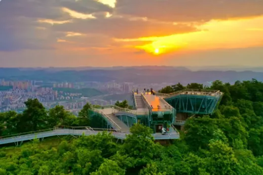 3a6a8f9050bac4f6bda6faa0b3d8d746-sz_243897