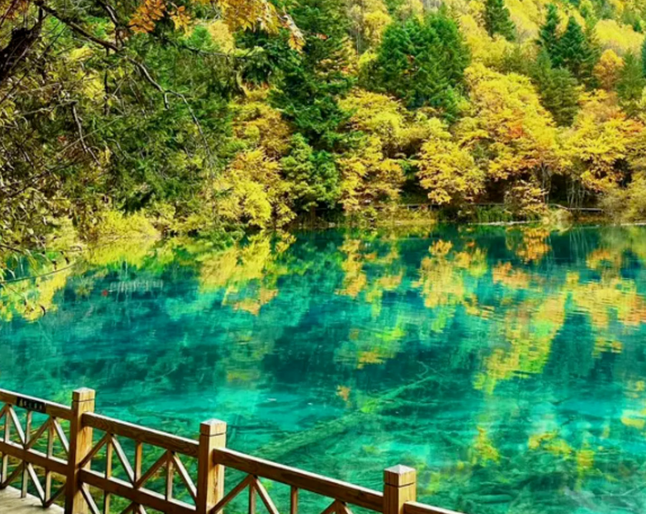 3af15a2e70c4a944658f283cb48526b9