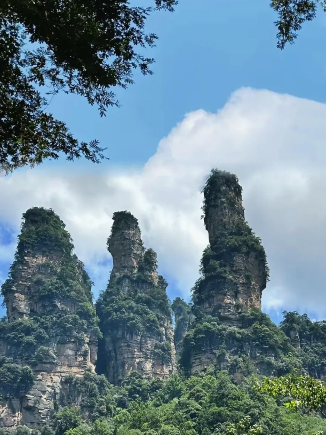 3af98645164751e00692fe7195a116db-sz_2511565