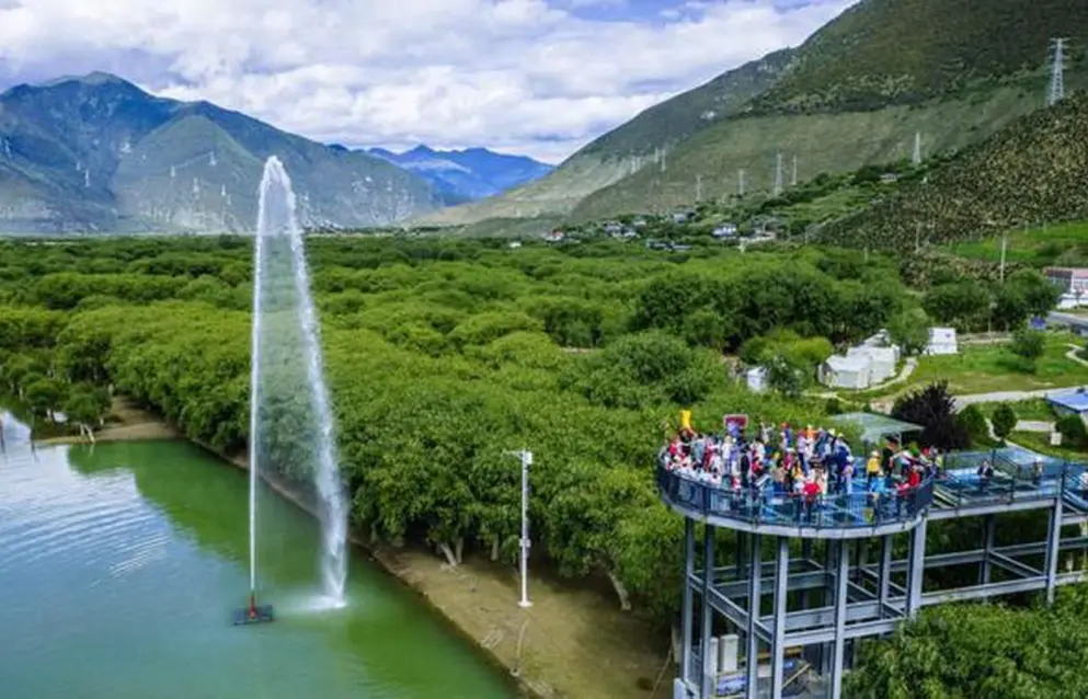 3b44b488c6982ffc1454f2b6b7b8d5ad-sz_159915