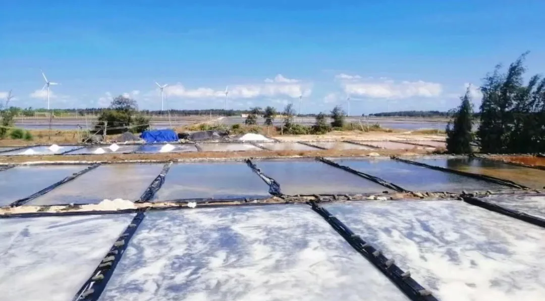 3b707f9e4a6271e813d88f0613ed51f7-sz_203679-1 3b707f9e4a6271e813d88f0613ed51f7-sz_203679-1