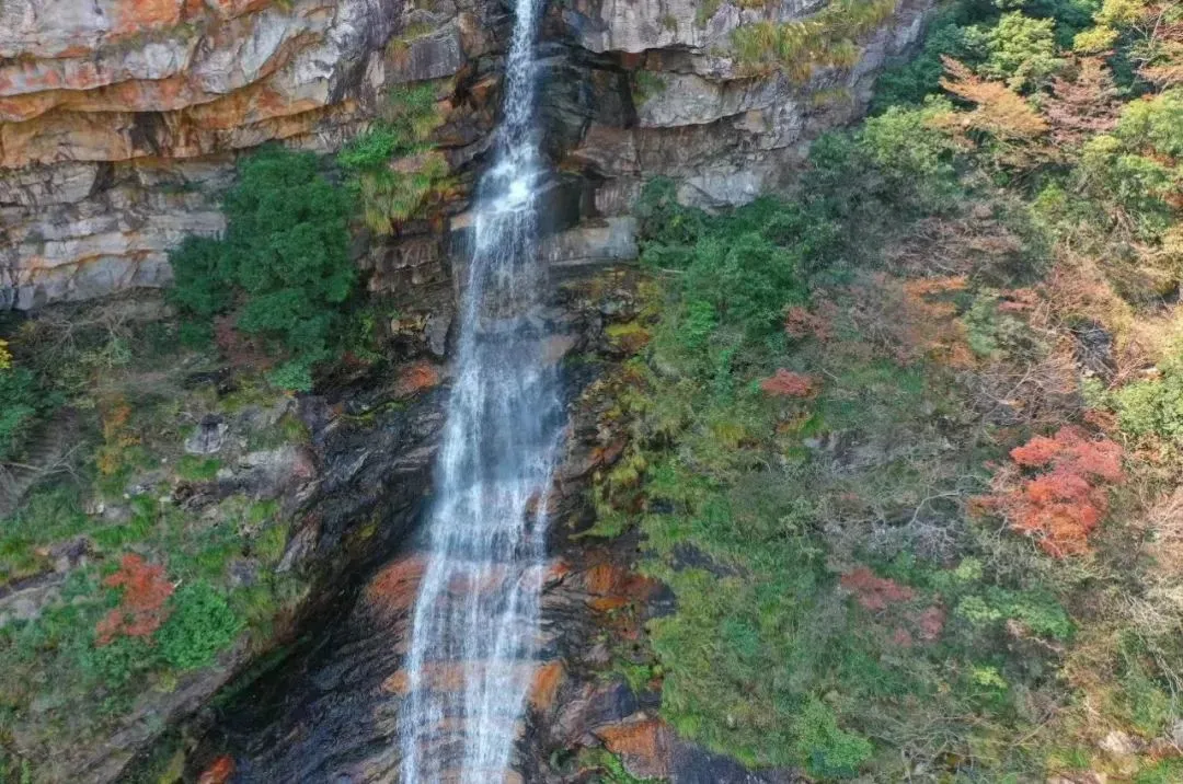 3b88e78dcf6f758af1b287c167184f98-sz_187882