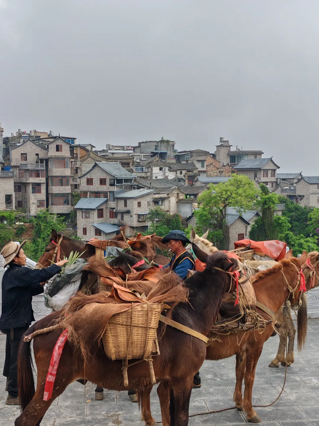 3bb366ebc6419e8a547e209f5cab33ad-sz_4975124-1