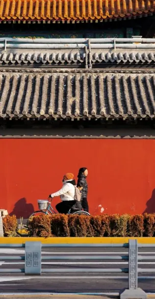 3bc4b5bb71c48070ec38b87a3be0bdad-sz_490442