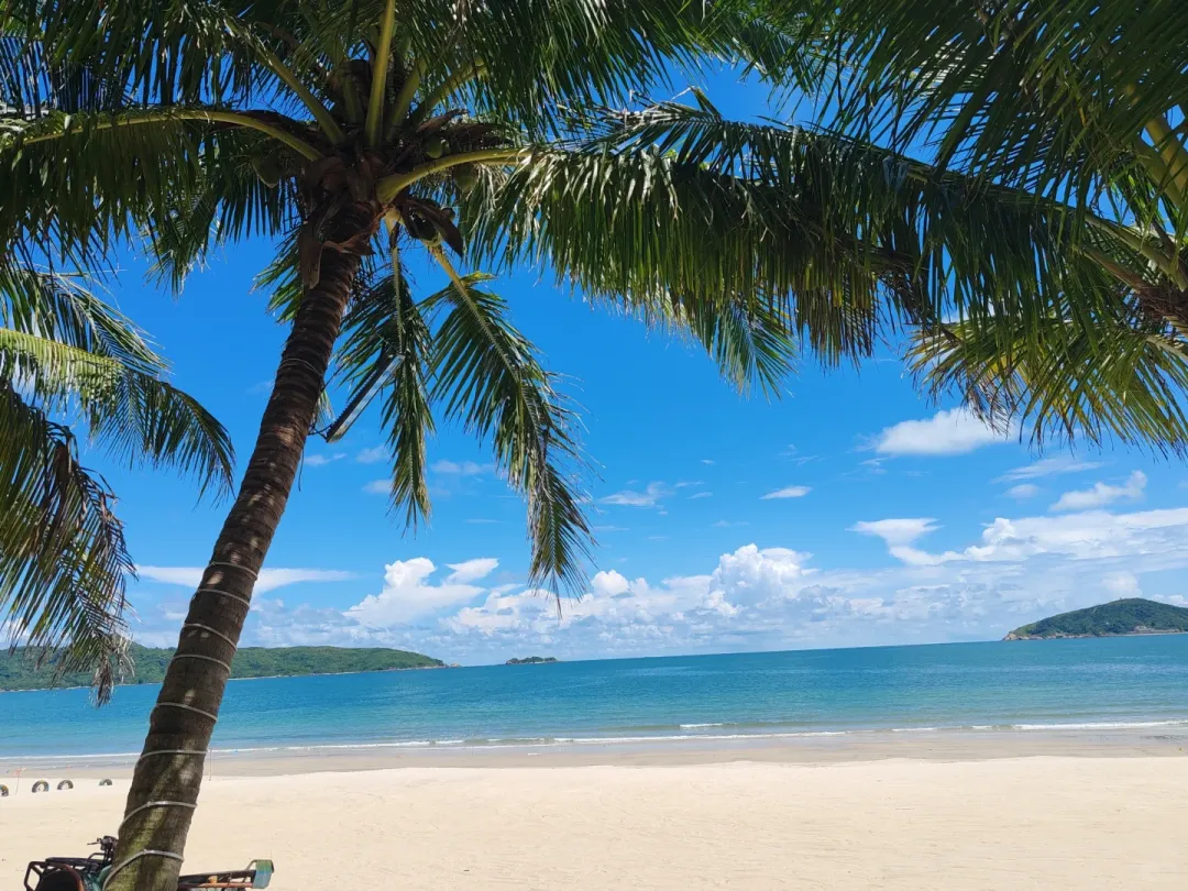 3bcf32ffc209eedd2c3bc16b7fc51f87-sz_3103875