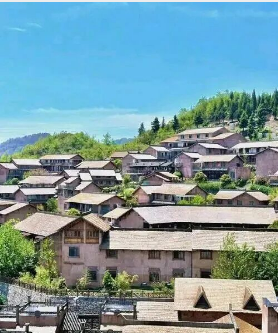 3c127bd35774a2fd06912f2eb83b181d