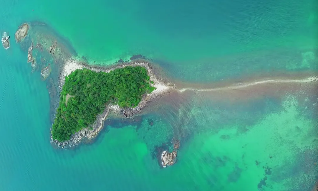 3c86703672c6b6c54d2e3f34bb4e4af5-sz_2601402