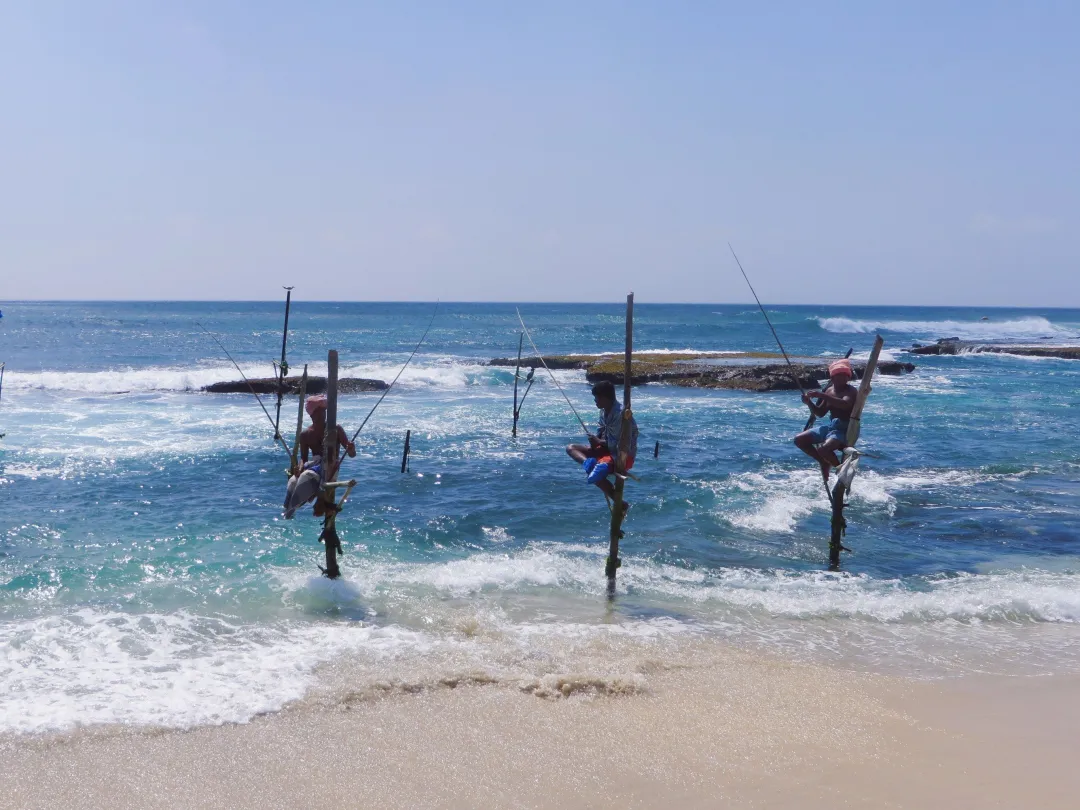 3c897cb9643ab237dd3ada45a375d182-sz_937643