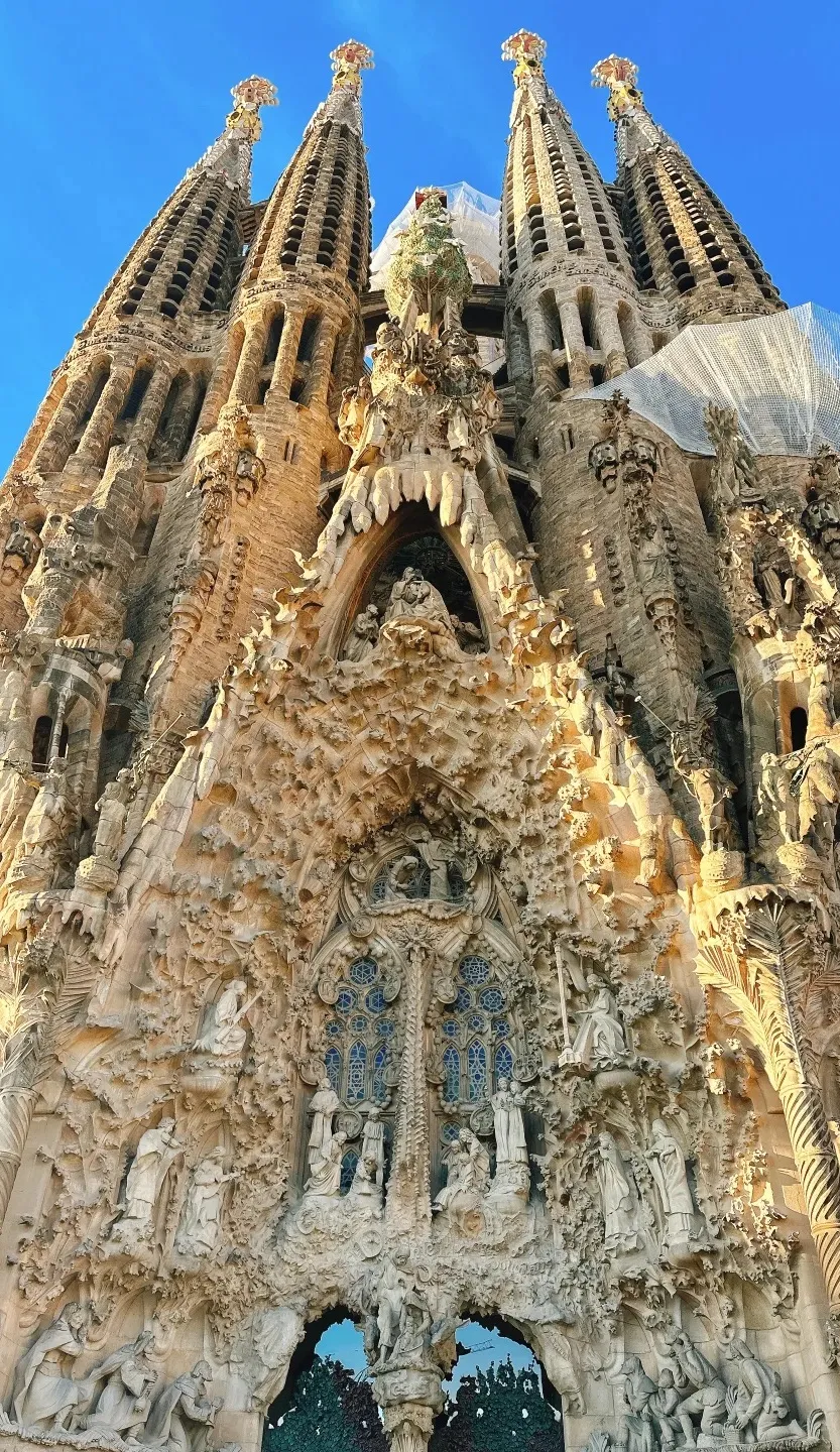 3c8aff896506002fcb27c2c8117de906-sz_755276