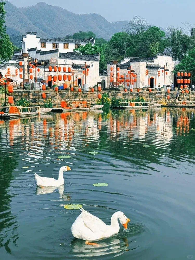 3cbf7c627374fdced31db7ed2b3fd375-sz_2896927