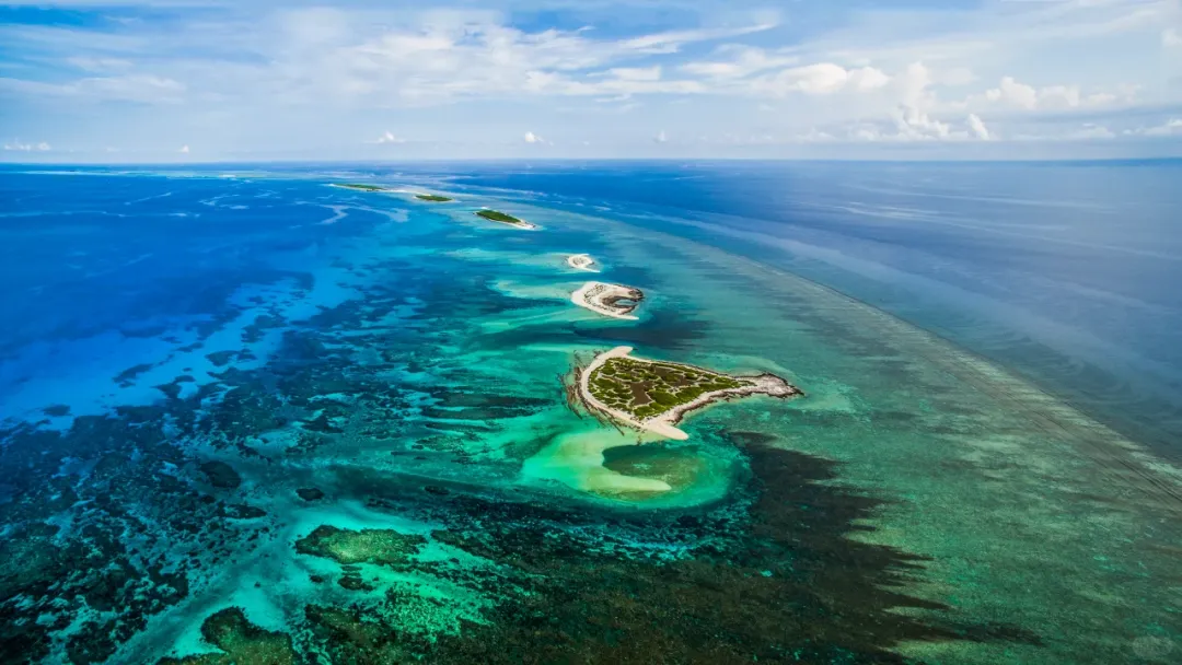 3cdf5277ddcdc64b2b838263dafdaa7a-sz_1296863-1