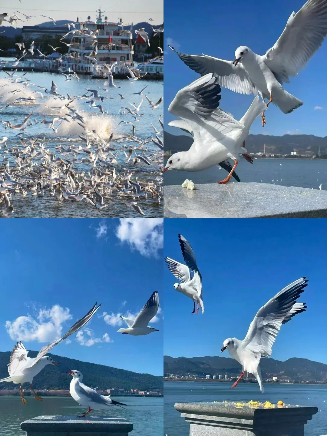 3cf9120c5deb8f9b1bc83aca29197523-sz_2053066-1