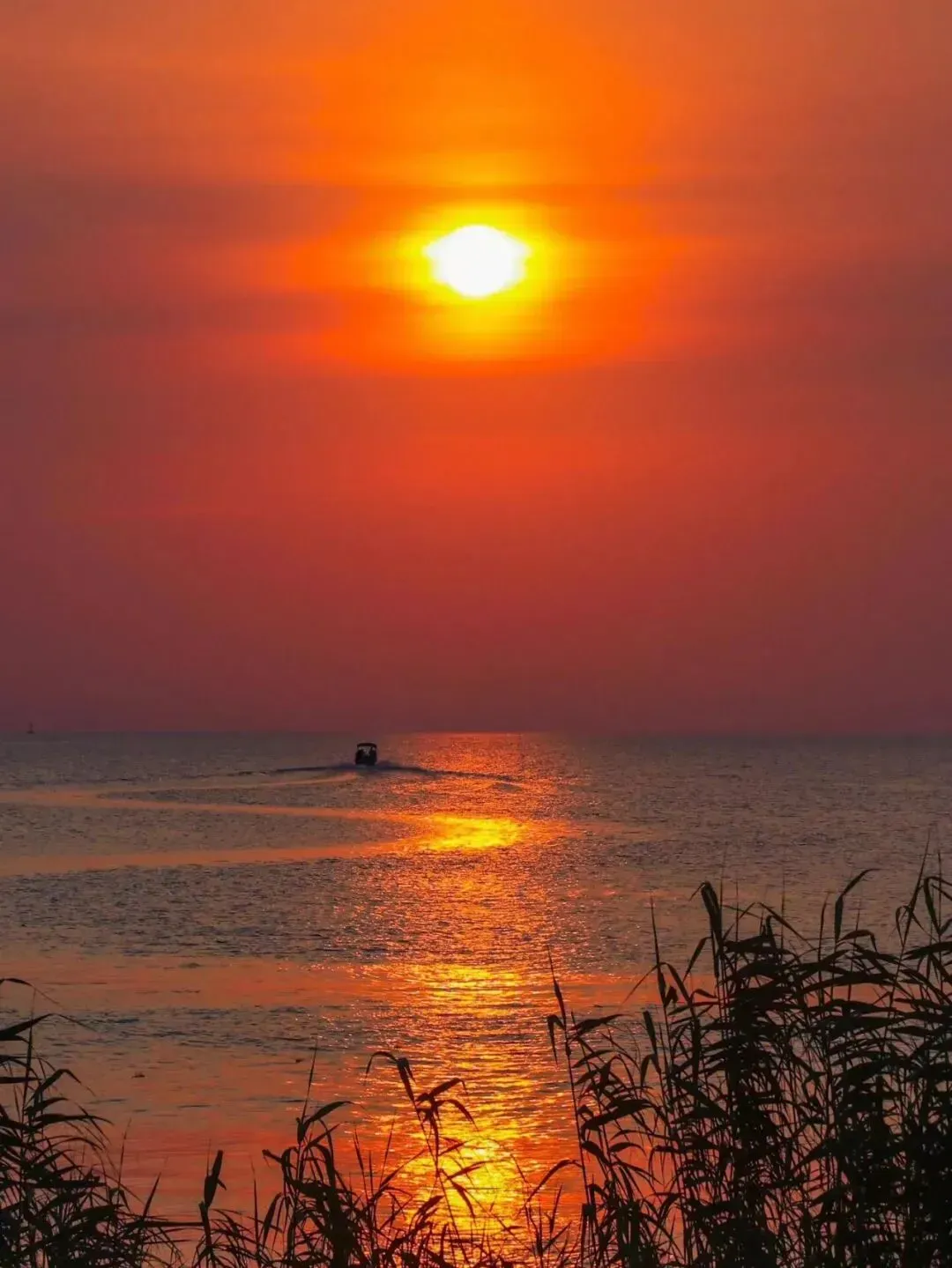 3d1936ed9ba81e7df92146bb033a69a5-sz_1263913