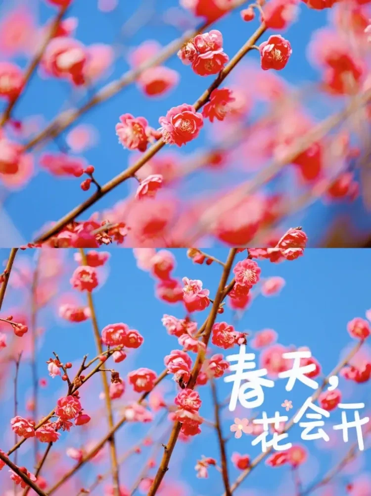 3d24f1ae4f121cac479b26f0ed29ce93-sz_175591