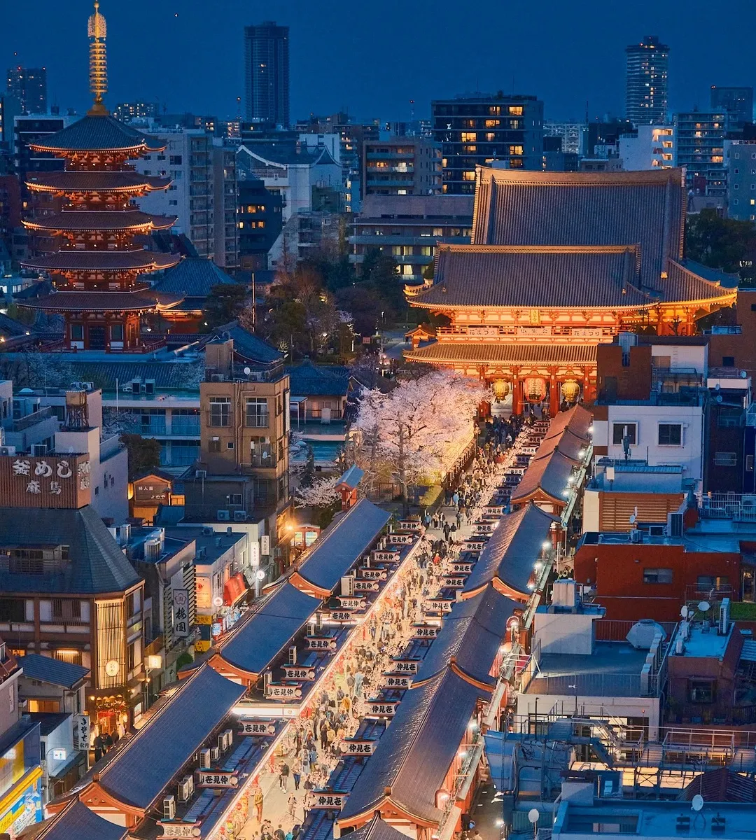 3d476b4e924e7b2ca6974ce6ee76411b-sz_714413 3d476b4e924e7b2ca6974ce6ee76411b-sz_714413