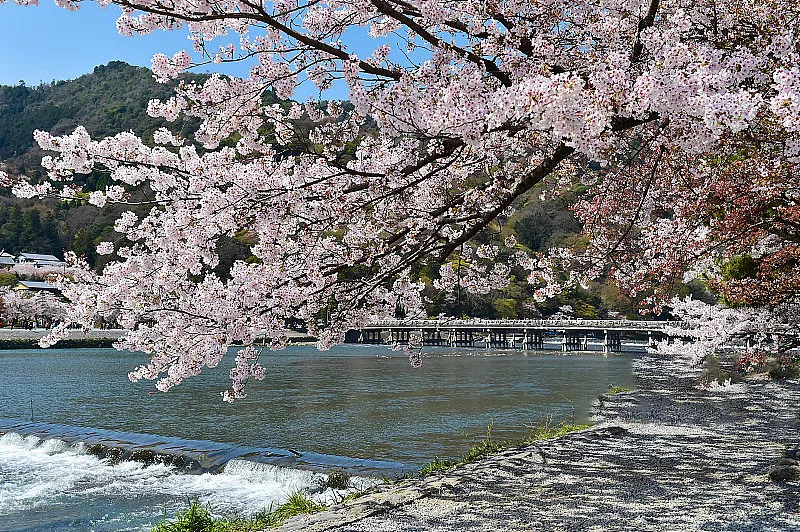 3d4d00e16cbf66ccc5f154adc075527b-sz_590451