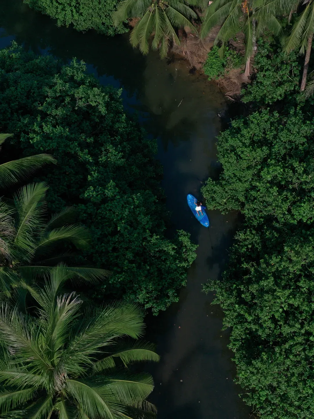 3d4ec43f6e46c37b95f5b28391c36b57-sz_2678711