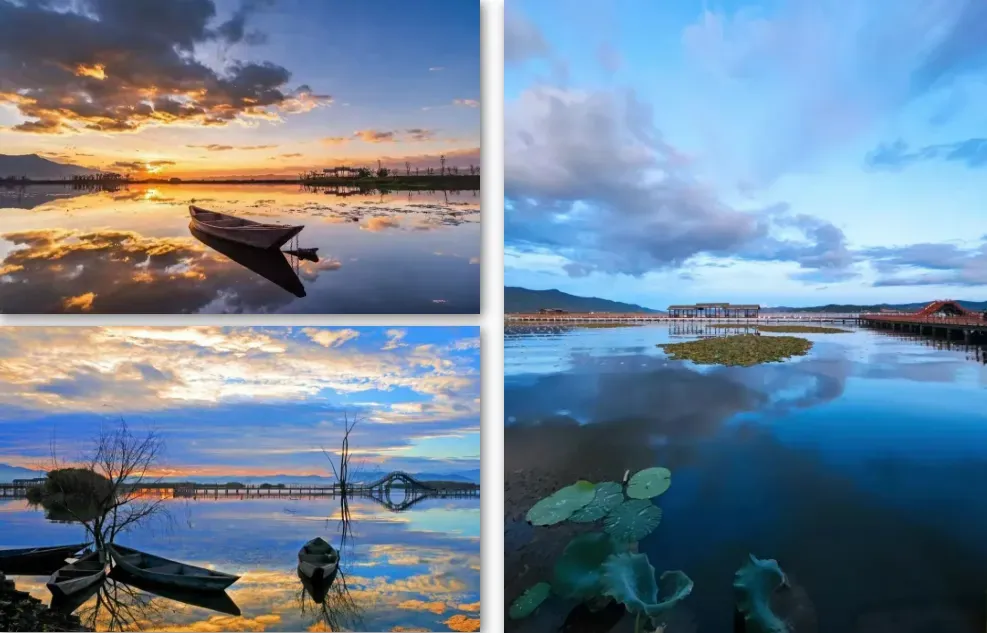 3d885a33ac8d2227095c899653c07411-sz_844129