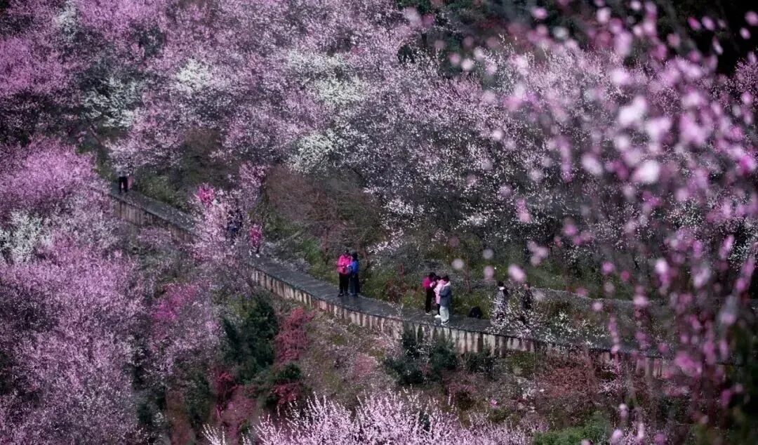 3da76ca3baaea7d512fc98a0aefa9c26-sz_206116